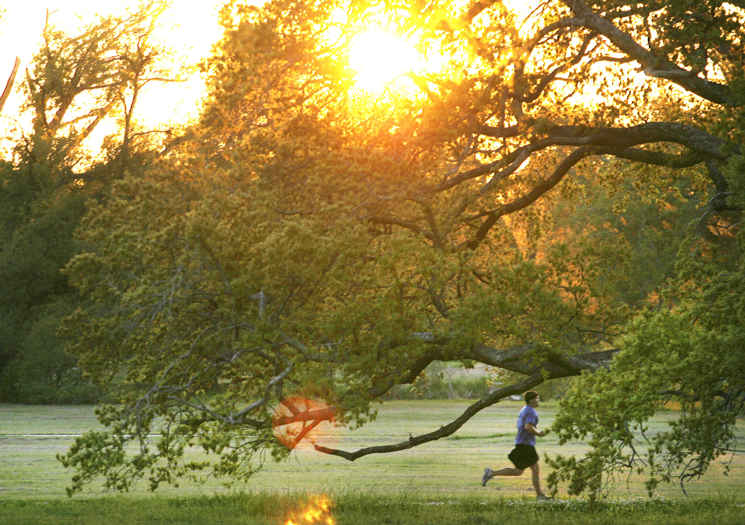 A man running in a park in New Orleans, LA