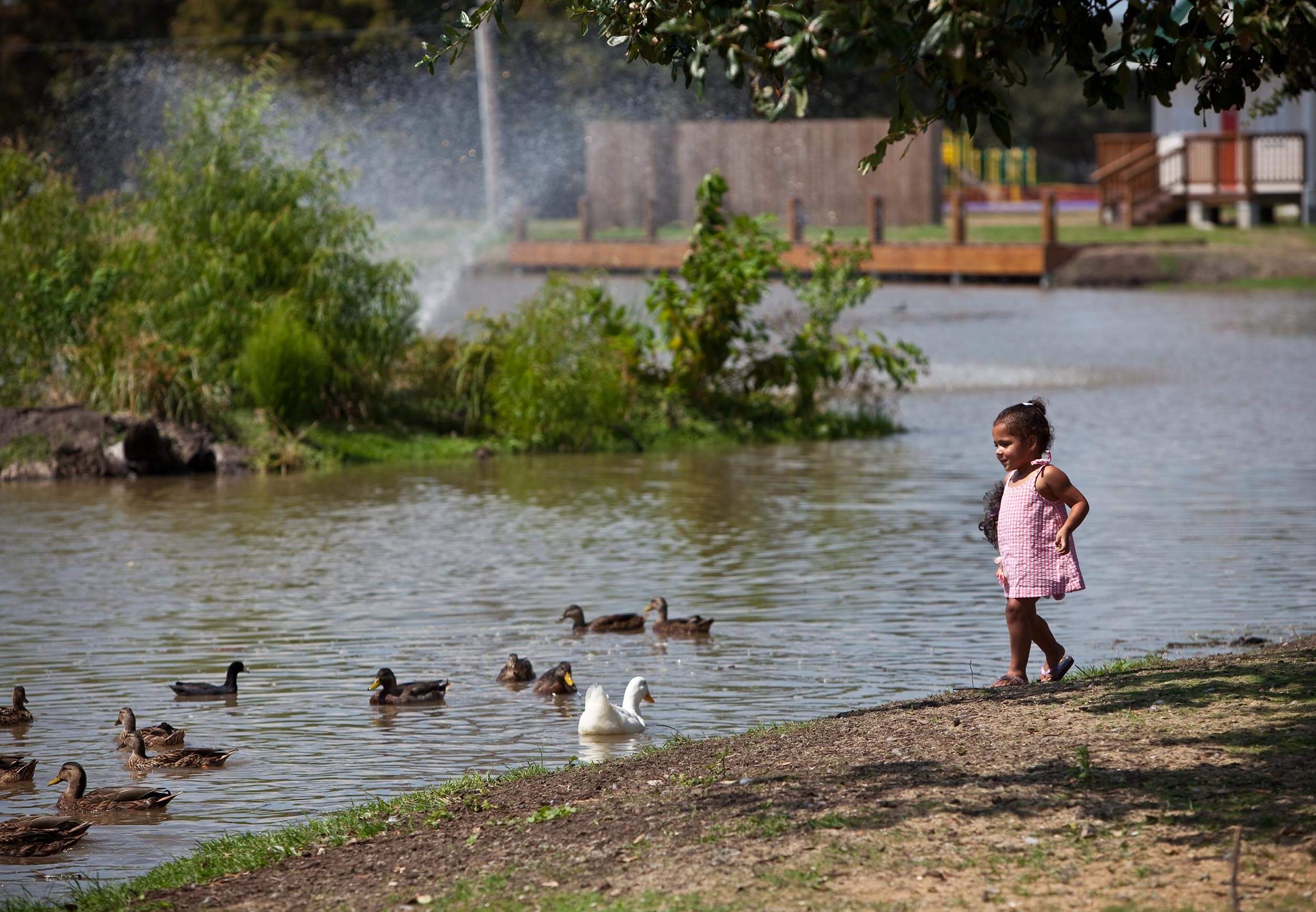 A young girl feeds ducks in a pond in greater New Orleans, LA