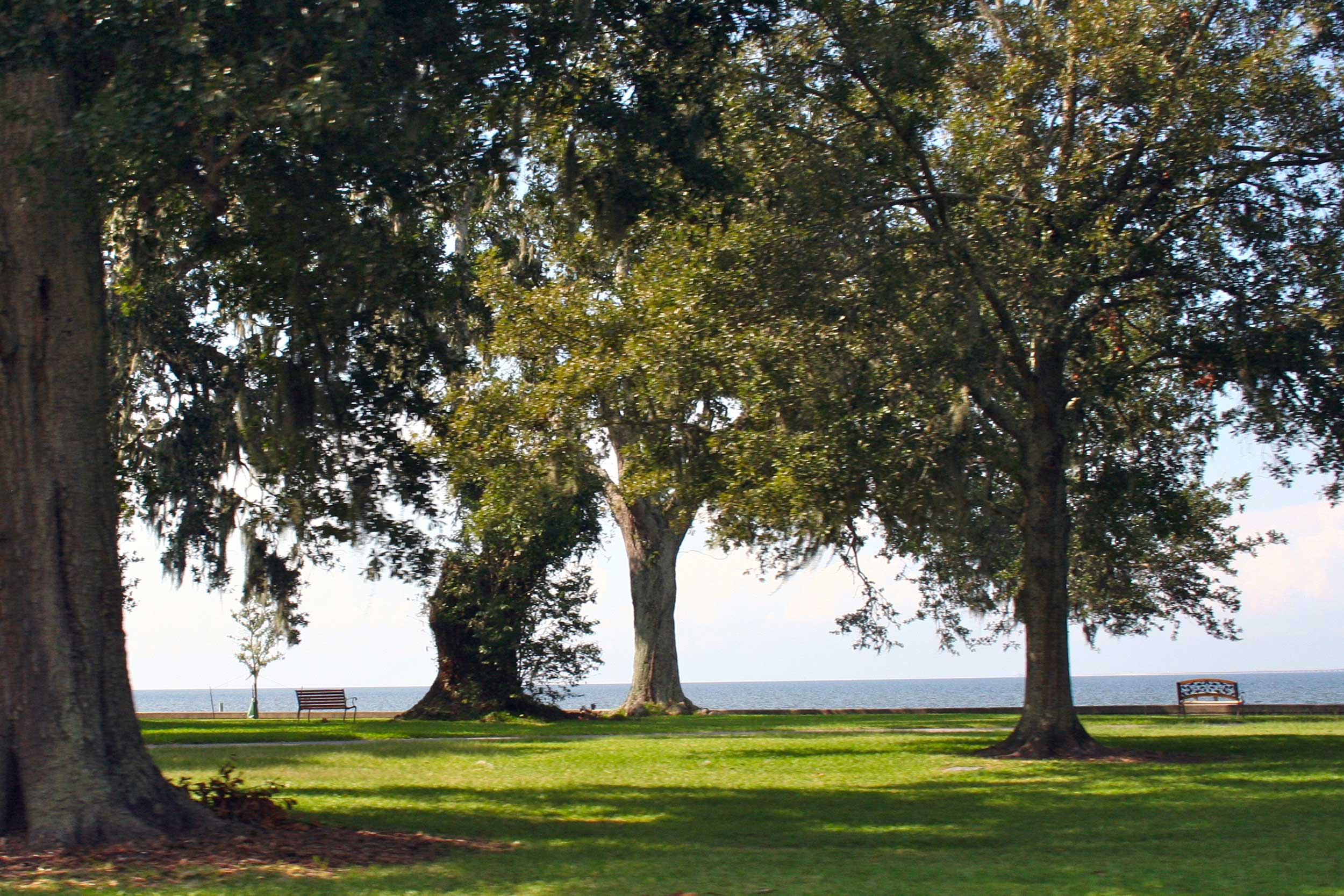 A park in St. Tammany parish in New Orleans, LA