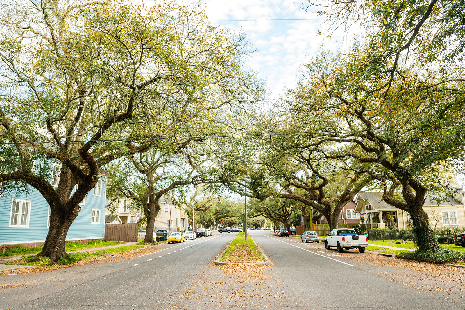 Leaf covered neighborhood streets in a New Orleans, LA suburb
